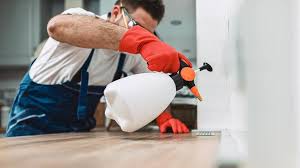 Best Residential Pest Control  in Cascade Locks, OR